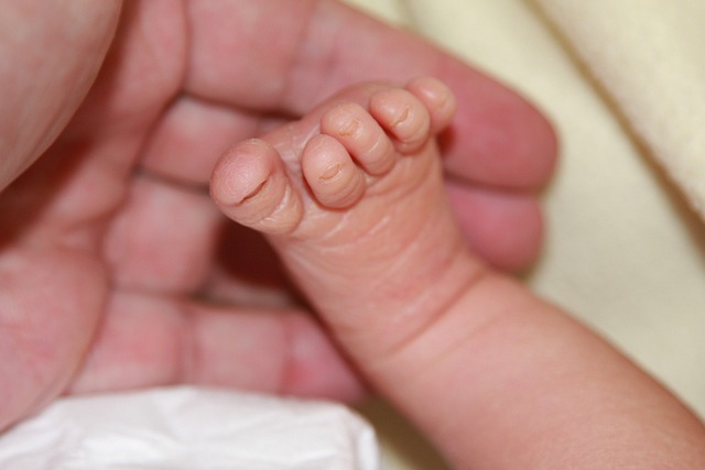 newborn photography